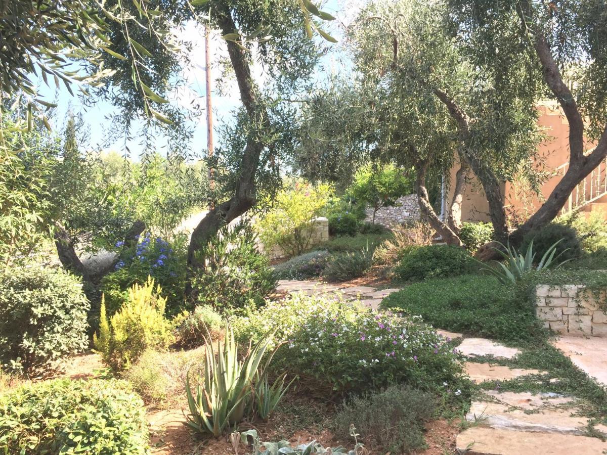 Villa Dinos Tranakatika Екстериор снимка